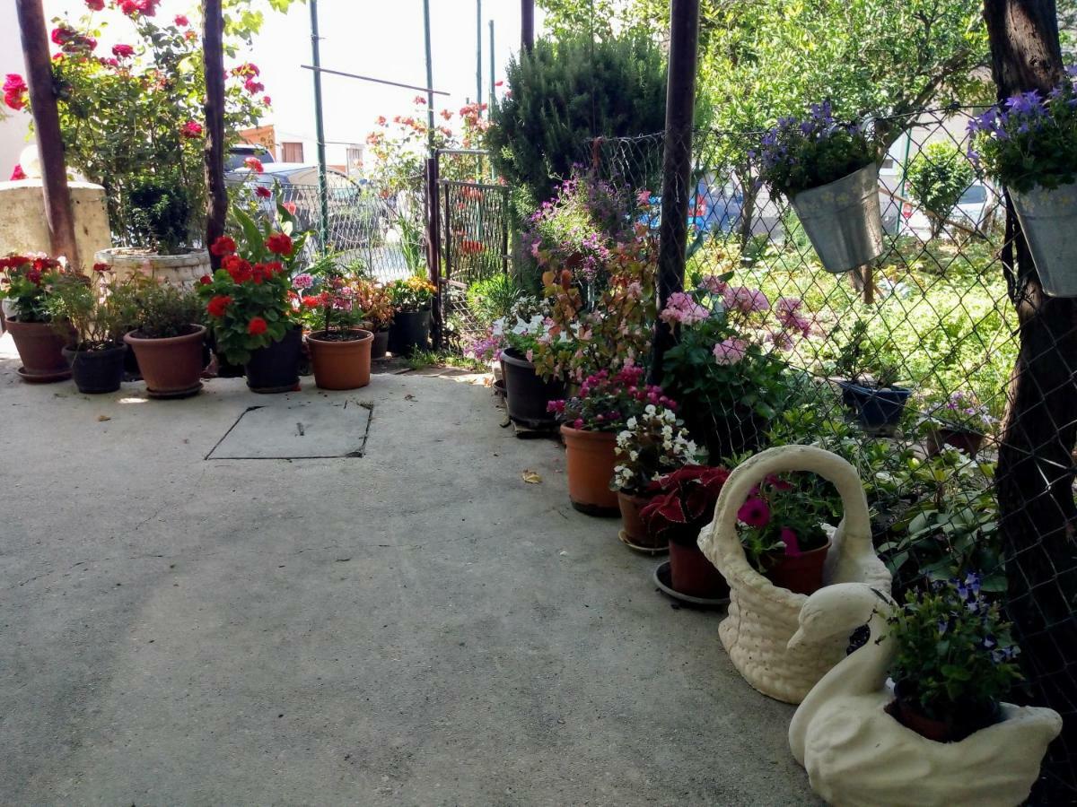 Apartman Lora Budva Buitenkant foto